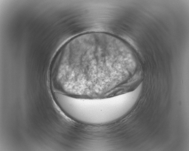 X0000070181468200606162109