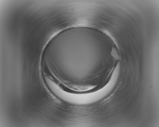 X0000070181469200606162109