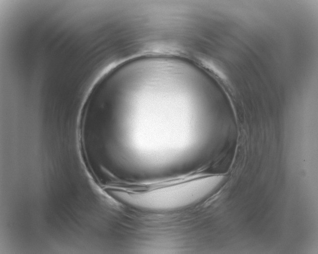 X0000070181471200606162109
