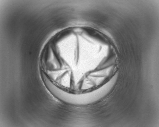 X0000070181472200606162109