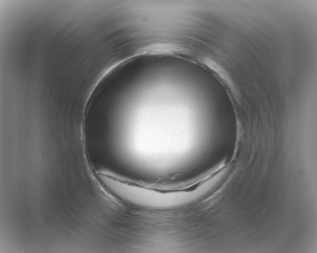 X0000070181473200606162109