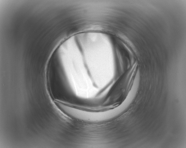X0000070181475200606162109