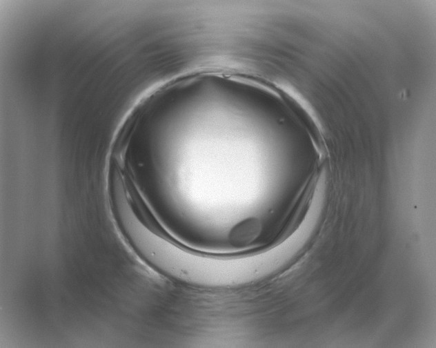 X0000070181477200606162109