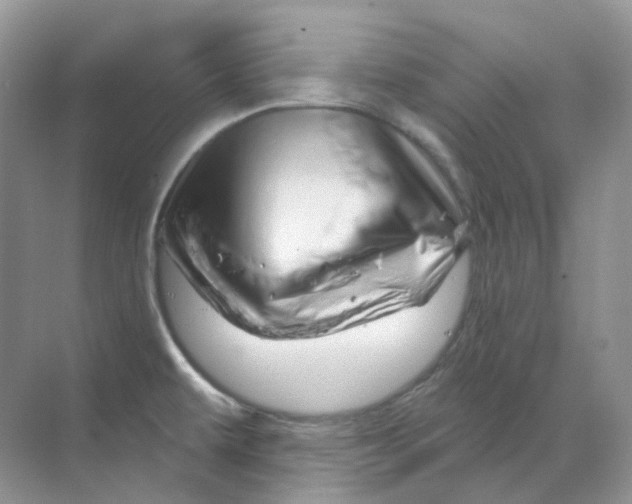 X0000070181479200606162109