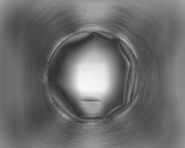 X0000070181481200606162109