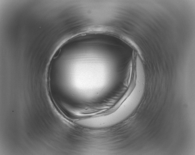 X0000070181483200606162109