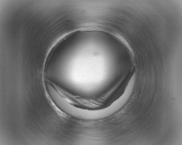 X0000070181485200606162109
