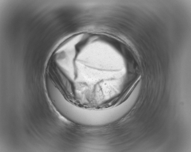 X0000070181486200606162109