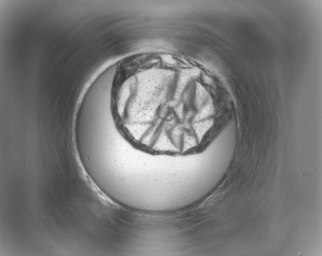 X0000070181488200606162109