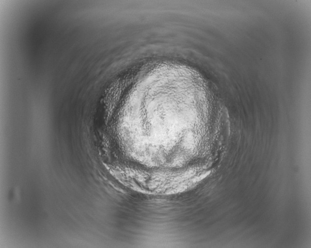 X0000070181489200606162108