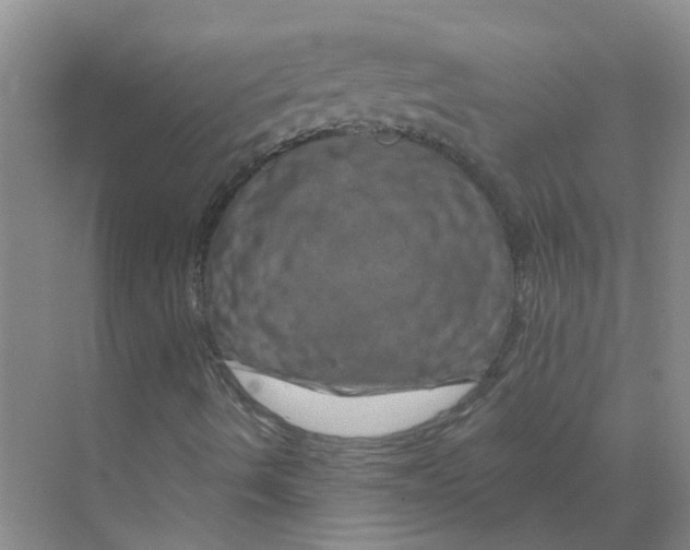 X0000070181490200606162108
