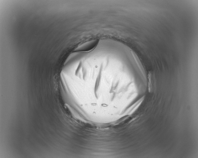 X0000070181491200606162108