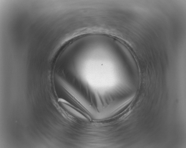 X0000070181499200606162108