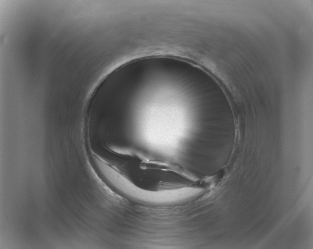 X0000070181500200606162108