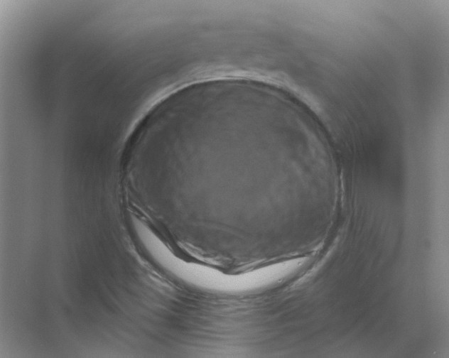 X0000070181501200606162108
