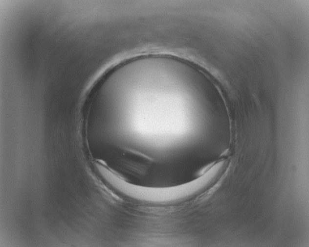 X0000070181502200606162108