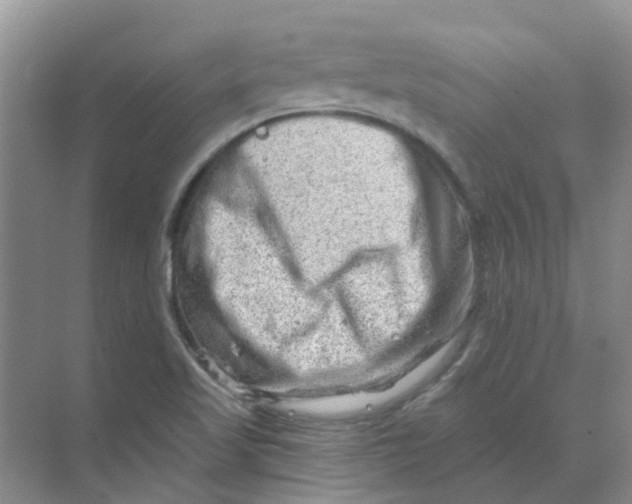 X0000070181509200606162108