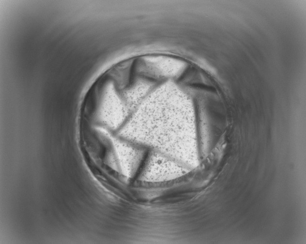 X0000070181512200606162108