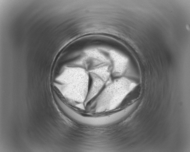 X0000070181513200606162108