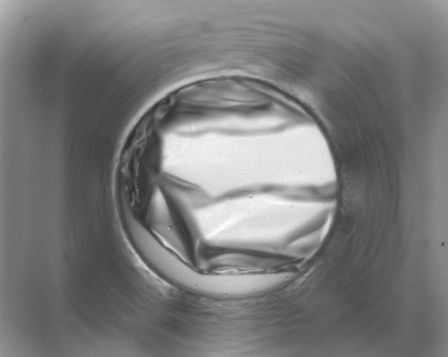 X0000070181516200606162108