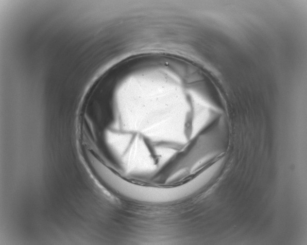 X0000070181517200606162108