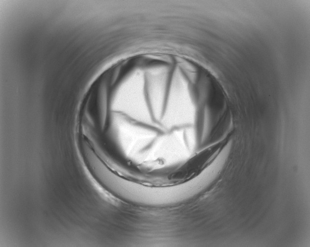 X0000070181523200606162109