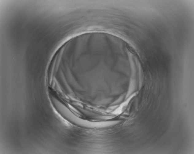 X0000070181527200606162109