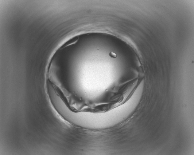 X0000070181528200606162109