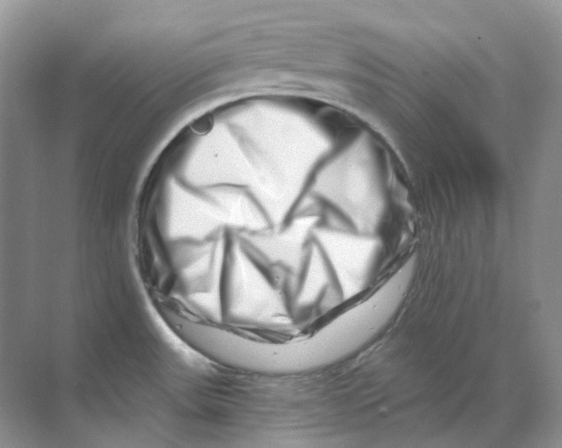 X0000070181531200606162109