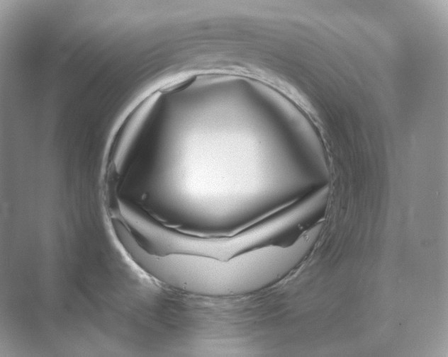 X0000070181536200606162109
