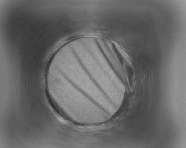 X0000070180005200606231959