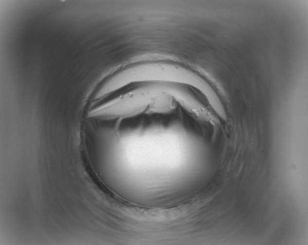 X0000070180015200606231958