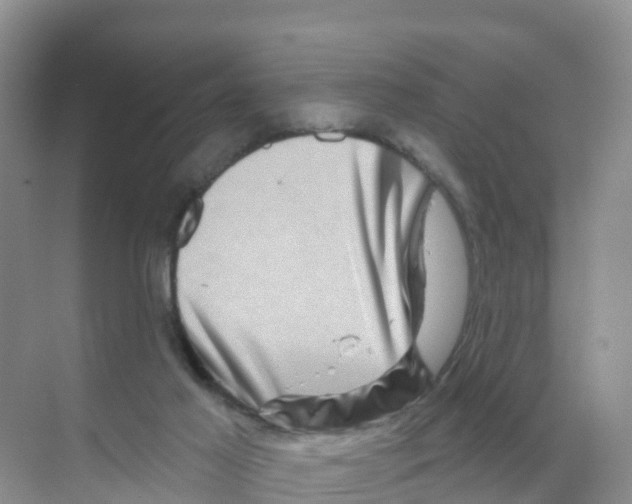 X0000070180021200606231958