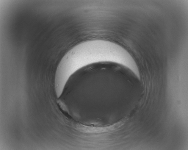 X0000070180031200606231958