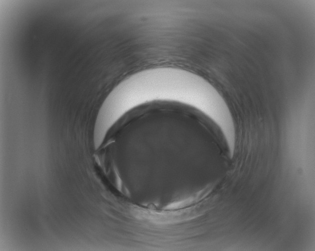 X0000070180039200606231958