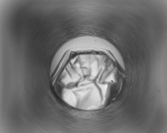 X0000070180040200606231958