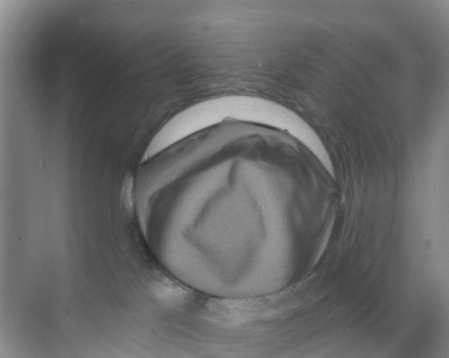 X0000070180041200606231958