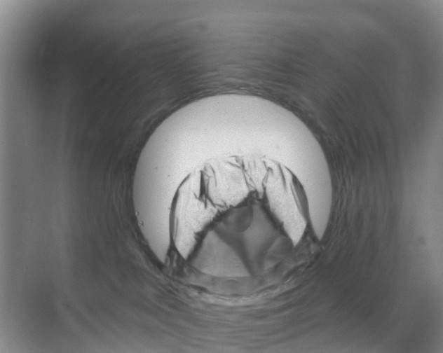 X0000070180043200606231958