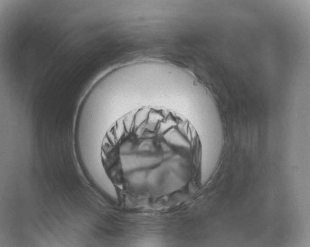 X0000070180052200606231957