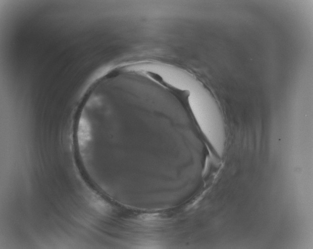 X0000070180054200606231957