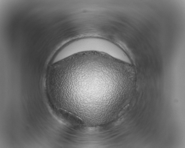 X0000070180060200606231957