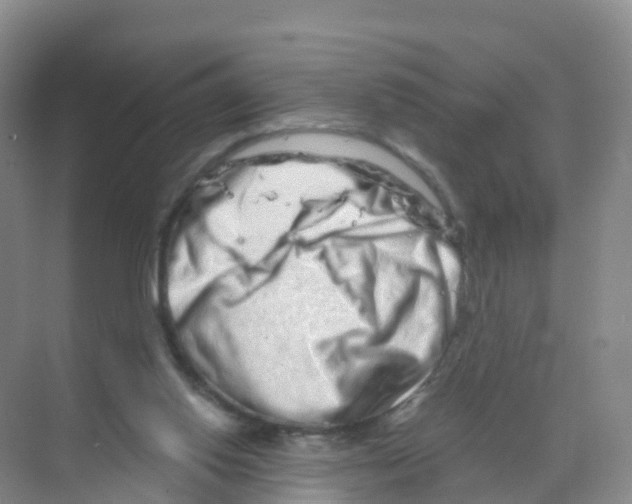 X0000070180062200606231957