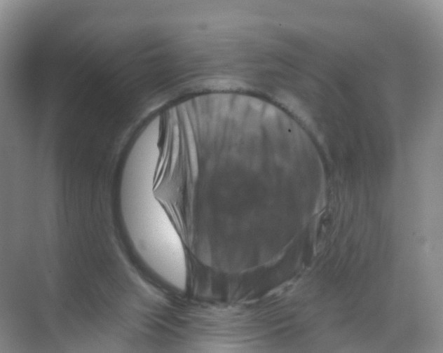 X0000070180063200606231957