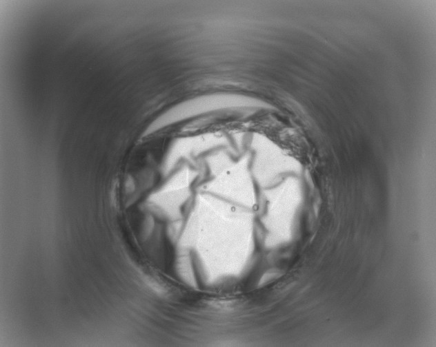 X0000070180071200606231957