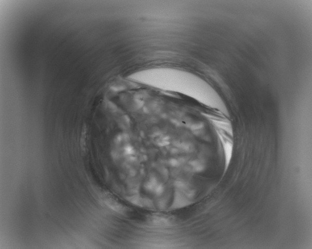 X0000070180073200606231957