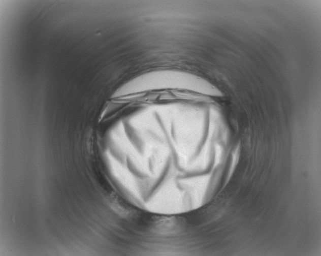 X0000070180083200606231958