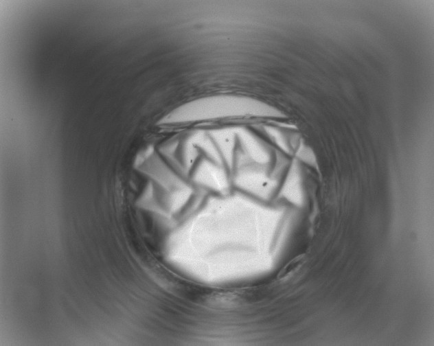 X0000070180086200606231958