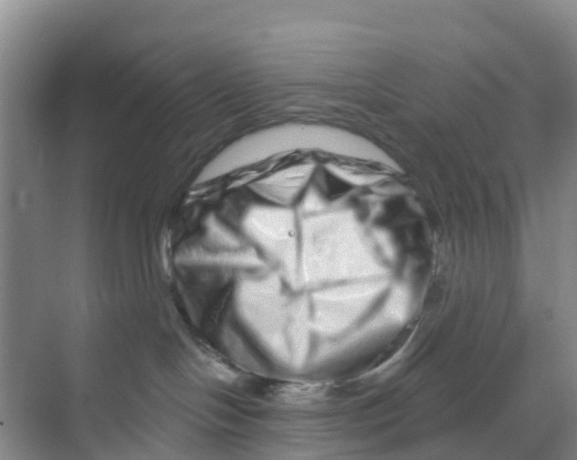 X0000070180094200606231958