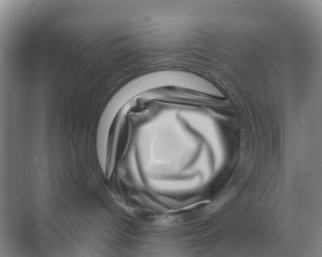 X0000070180096200606231958