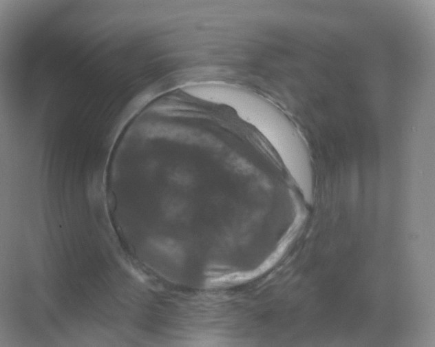 X0000070180099200606231957